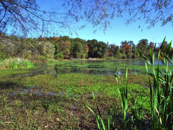 LakeConesteeNaturePark0_e6edcc3c-5056-a36f-23368f065cde44d2.avif