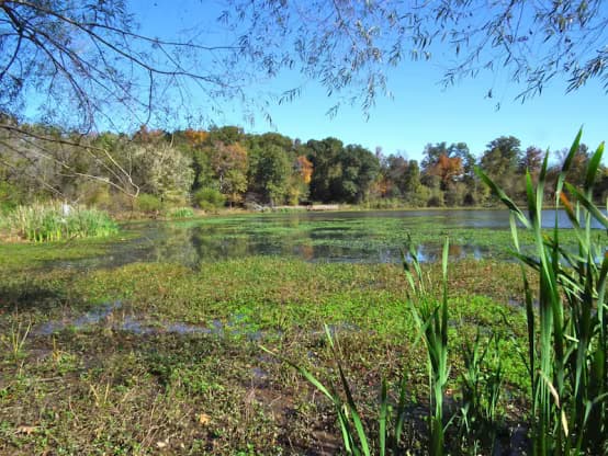 LakeConesteeNaturePark0_e6edcc3c-5056-a36f-23368f065cde44d2.avif