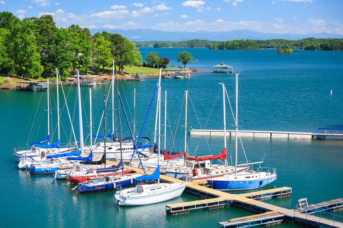 Sailboats-Docked-at-Lake-Hartwell-034574e85056a36_03457b57-5056-a36f-2364e5297b472995.jpg